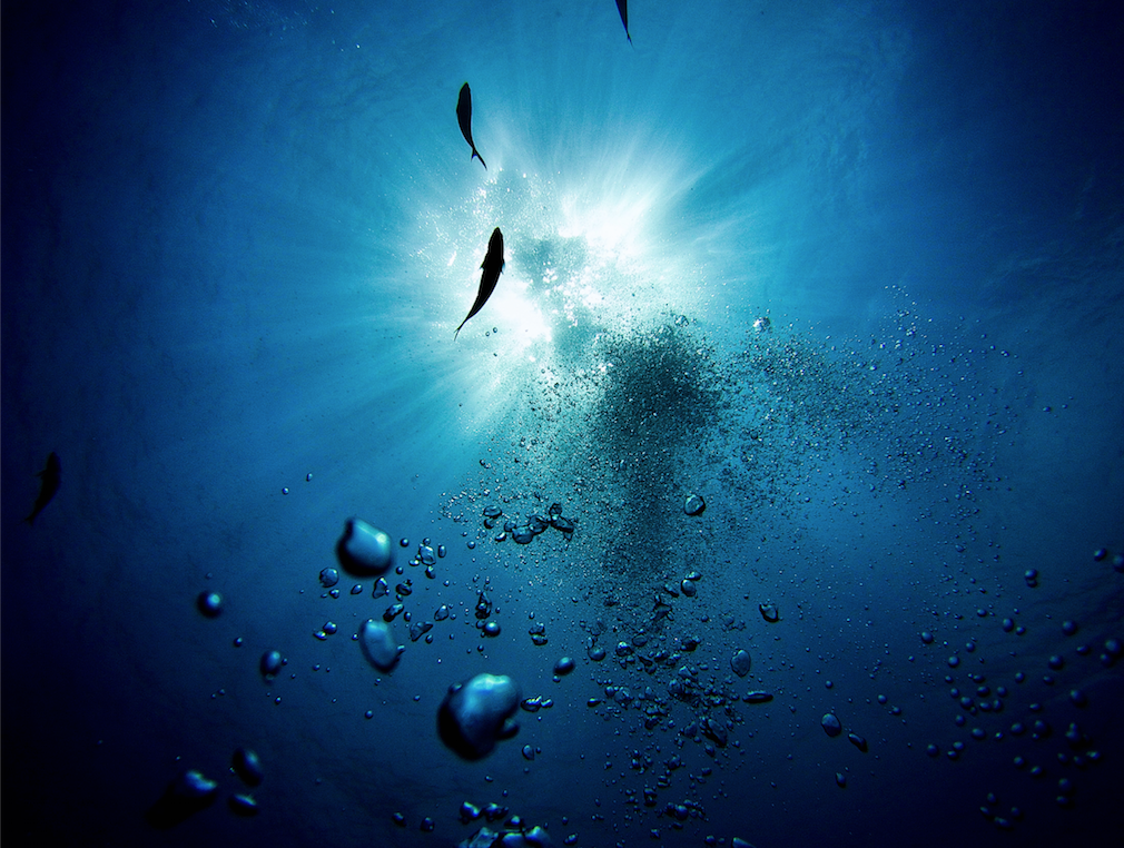A view from underwater looking up at the ocean's surface. There are some bubbles and a few swimming fish.