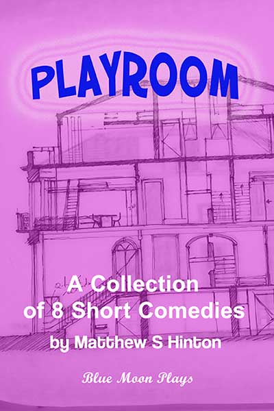 The cover of Playroom, which is written in bold blue font over a pink background that displays a sketch of a house.